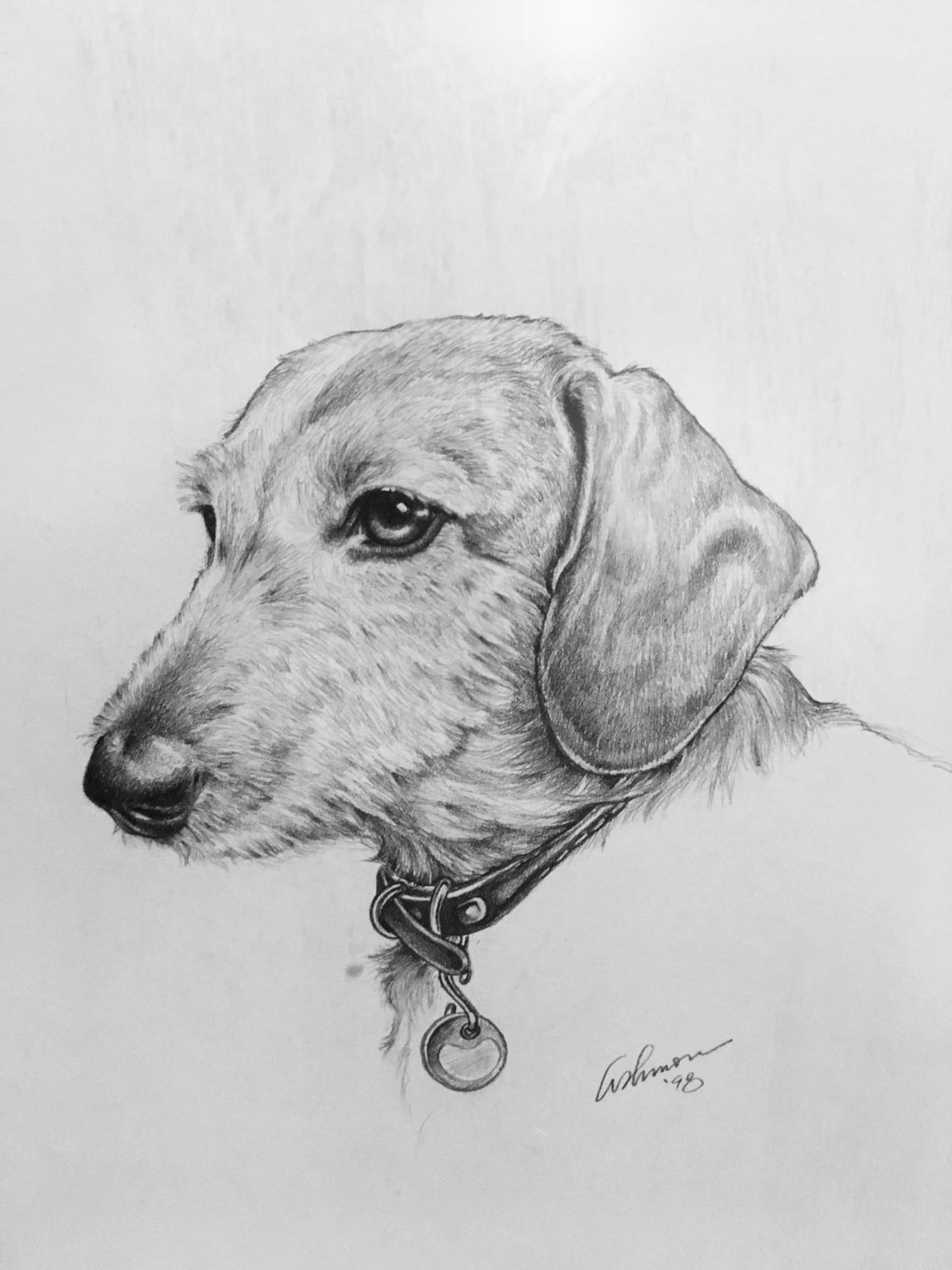 Dog Drawing by Margaret Ashmore
